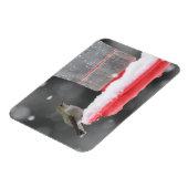 雪の中のアンナのハミングバード マグネット (左側)