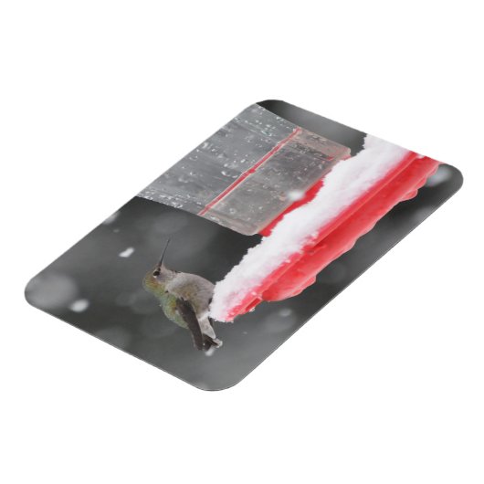 雪の中のアンナのハミングバード マグネット (左側)