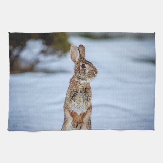 雪の中のウサギ キッチンタオル (横)