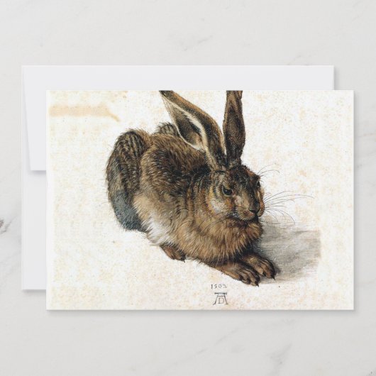 雪の中のウサギ – Durand (正面)