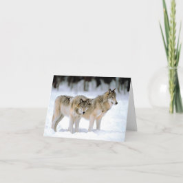 雪の中のオオカミのホリデーカード シーズンカード