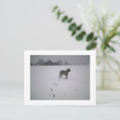 雪の中のオオカミ猟犬 ポストカード (スタンド正面)