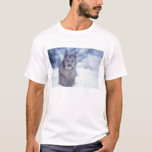 雪の中のオオヤマネコ(丘陵) Tシャツ