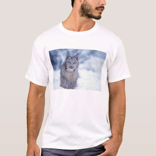雪の中のオオヤマネコ(丘陵) Tシャツ (正面)