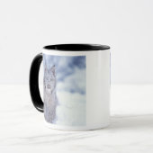 雪の中のオオヤマネコ(山麓にて) マグカップ (正面左)