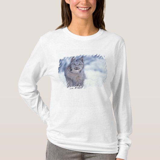 雪の中のオオヤマネコ(山麓にて) Tシャツ (正面)