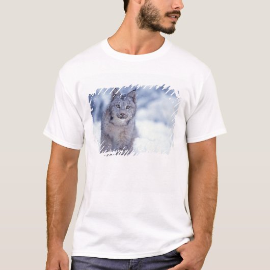 雪の中のオオヤマネコ(山麓) Tシャツ (正面)