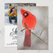 雪の中のオスのカーディナル シーズンカード (正面/裏面)