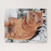 雪の中のオレンジタブビーキャット ジグソーパズル (横)