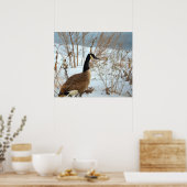 雪の中のカナダガンのポスター ポスター (キッチン)