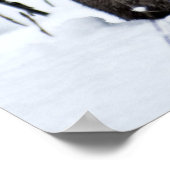 雪の中のカナディアン・リンクス ポスター (角)