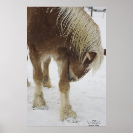 雪の中のカボチャ ポスター (正面)