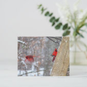 雪の中のカーディナル ポストカード (スタンド正面)