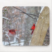 雪の中のカーディナル マウスパッド (正面)