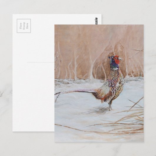 雪の中のキジ ポストカード (正面/裏面)