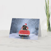 雪の中のクリスマストラックに座るダックスフンド犬 カード (正面)