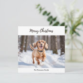 雪の中のクリーム色ダックスフンドの犬の絵が可愛い シーズンカード (スタンド正面)