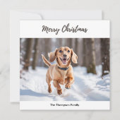 雪の中のクリーム色ダックスフンドの犬の絵が可愛い シーズンカード (正面)
