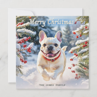 雪の中のクリーム色フレンチブルドッグ メリークリスマス シーズンカード