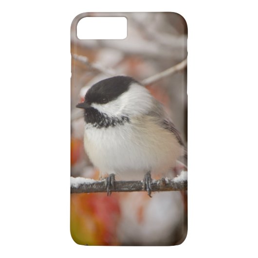 雪の中のクロガクチョウ Case-Mate iPhoneケース (裏面)