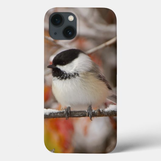 雪の中のクロガクチョウ Case-Mate iPhoneケース (裏面)