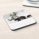 雪の中のグリズリー コースター (左側)