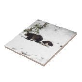 雪の中のグリズリー タイル (側面)