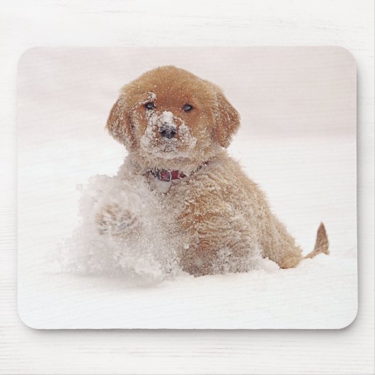 雪の中のゴールデンレトリバーの子犬 マウスパッド (正面)