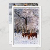 雪の中のサラブレッド馬 シーズンカード (正面/裏面)