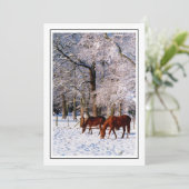 雪の中のサラブレッド馬 シーズンカード (スタンド正面)