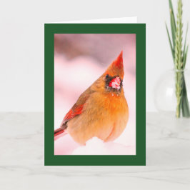 雪の中のショウジョウコウカチョウのクリスマスカード ノートカード