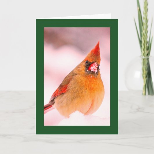 雪の中のショウジョウコウカチョウのクリスマスカード ノートカード (正面)