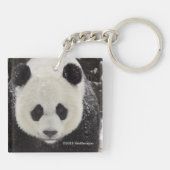 雪の中のジャイアントパンダ キーホルダー (裏面)