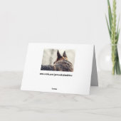 雪の中のジャーマンシェパードの写真 シーズンカード (裏面)