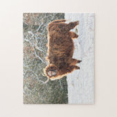 雪の中のスコットランドのハイランド牛 ジグソーパズル (縦)