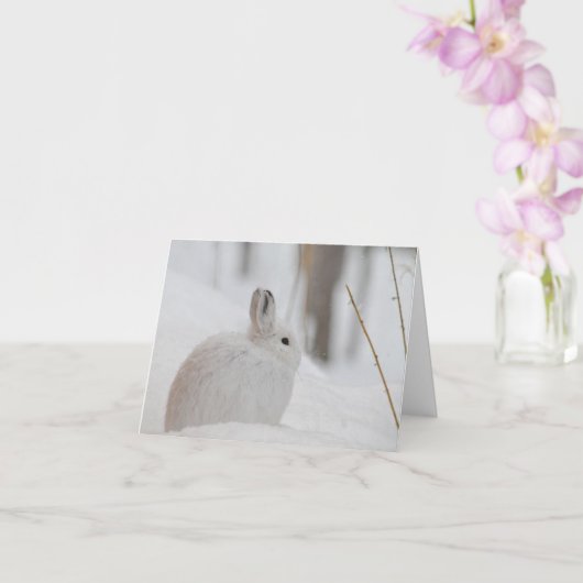 雪の中のスノーシューのウサギ カード (蘭)
