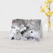 雪の中のタウンブルック12月 カード (黄色い花)