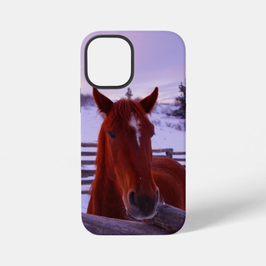 雪の中のタッカー iPhone 12 Mini カバー (裏面)