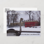 雪の中のダチョウ ポストカード (正面/裏面)