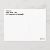 雪の中のダチョウ ポストカード (裏面)