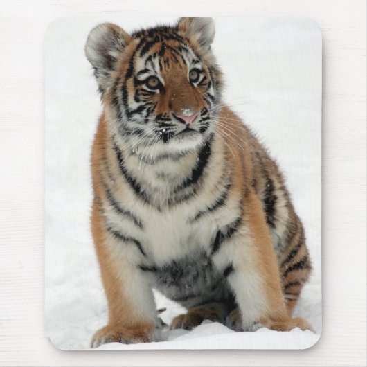 雪の中のトラの子どもの写真 マウスパッド (正面)