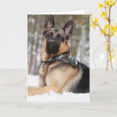 雪の中のドイツの羊飼い カード (黄色い花)