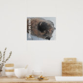 雪の中のドイツ人のポスターシェパードが微笑む ポスター (キッチン)