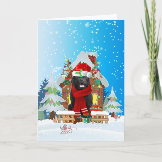 雪の中のニューファンドランドとクリスマスプレゼント カード (正面)
