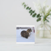 雪の中のノルウェーの林猫 エンクロージャーカード (スタンド正面)