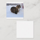 雪の中のノルウェーの林猫 エンクロージャーカード (正面/裏面)
