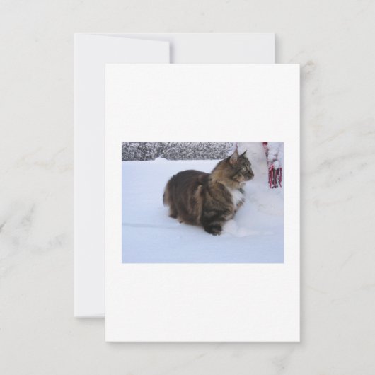 雪の中のノルウェーの林猫 カード (正面)