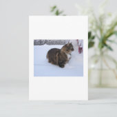 雪の中のノルウェーの林猫 カード (スタンド正面)