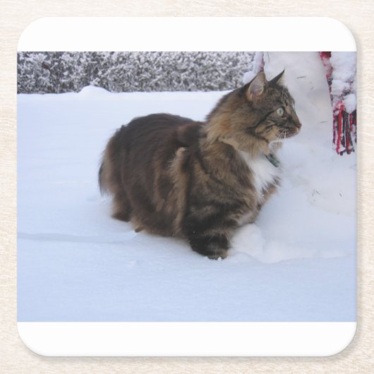 雪の中のノルウェーの林猫 スクエアペーパーコースター (正面)