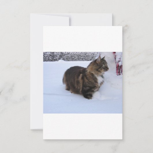 雪の中のノルウェーの林猫 セーブザデート (正面)